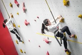 斗地主高手如何控风险（顶级斗地主玩家的风险掌控策略）