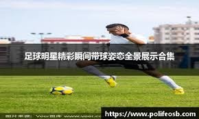 低了核心球